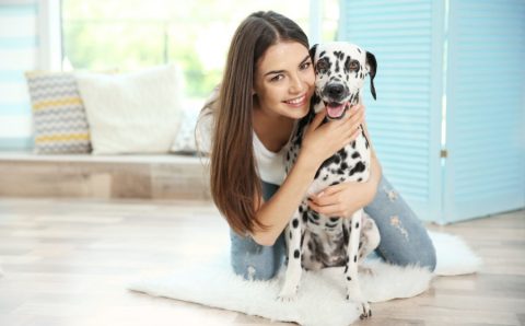 Tips For Reducing Dog Anxiety
