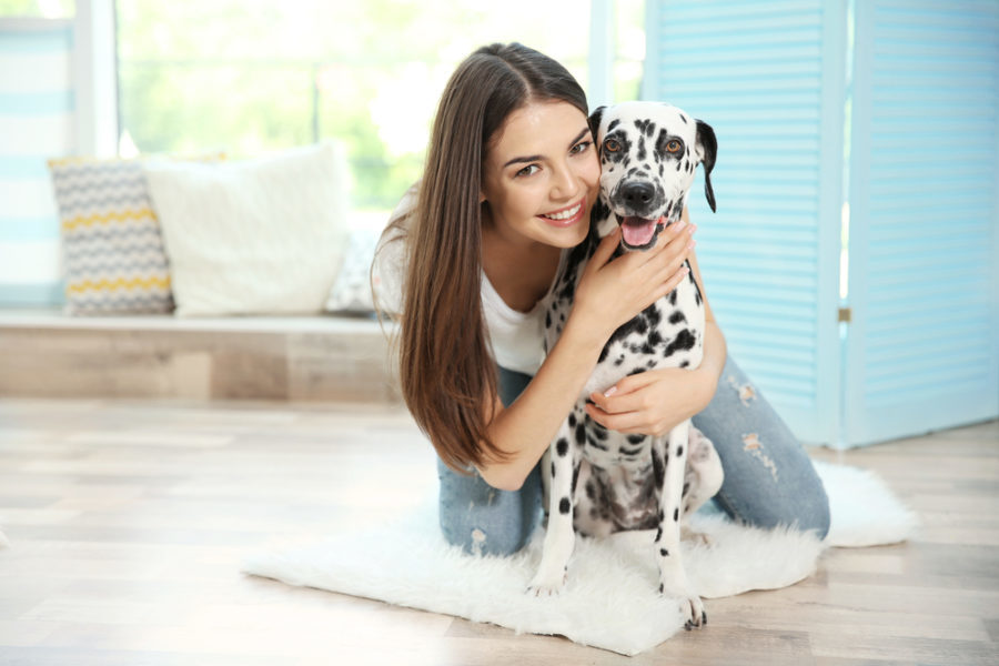 Tips For Reducing Dog Anxiety