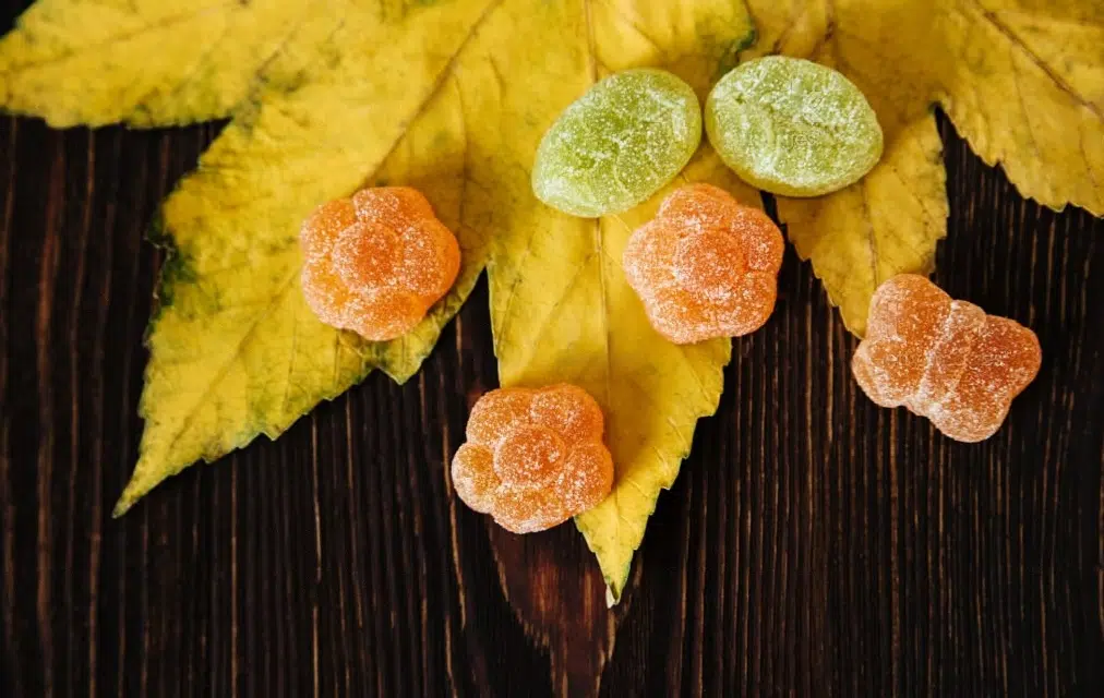 Flavor Profile: How Amanita Mushroom Gummies Taste